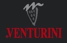 Logo Venturini