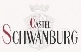 Logo Castel Schwanburg
