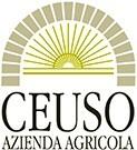 Logo Ceuso