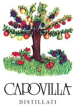 Logo Capovilla Distillati