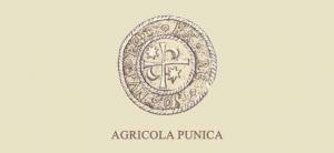 Logo Agripunica
