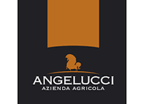 Logo Angelucci