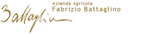 Logo Battaglino