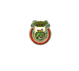Battistini logo