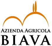 Biava logo