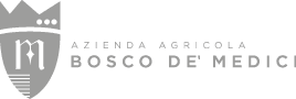 Bosco de&#039; Medici logo