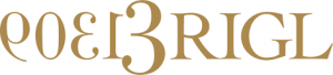 Brigl logo