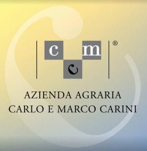 Carini logo