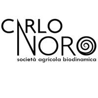 Carlo Noro logo