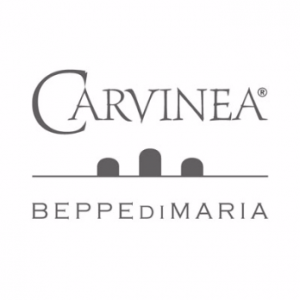 Logo Carvinea