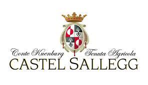 Logo Castel Sallegg