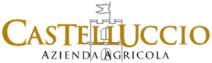 Logo Castelluccio