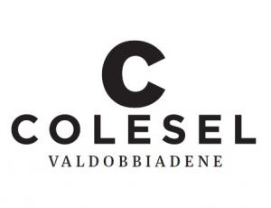 Colesel logo
