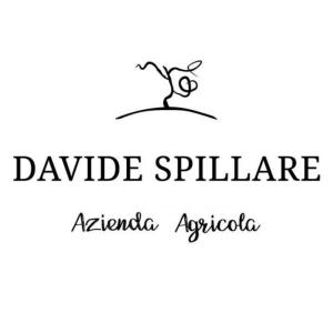 Davide Spillare logo
