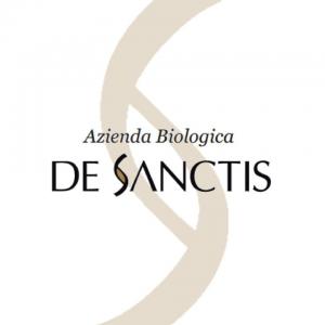 De Sanctis logo