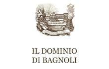 Dominio di Bagnoli logo
