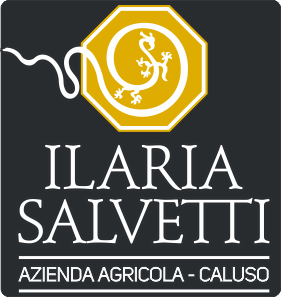Ilaria Salvetti logo