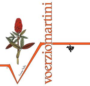 Logo Voerzio Martini