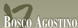 Logo Agostino Bosco