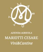 Mariotti Cesare logo