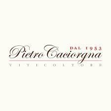 Pietro Caciorgna logo