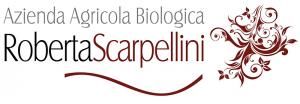 Roberta Scarpellini logo