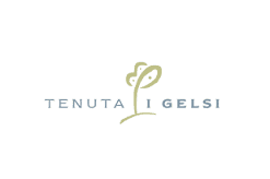 Logo Tenuta i Gelsi