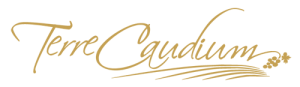 Terre Caudium logo