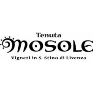 Tenuta Mosole logo
