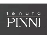 Pinni logo