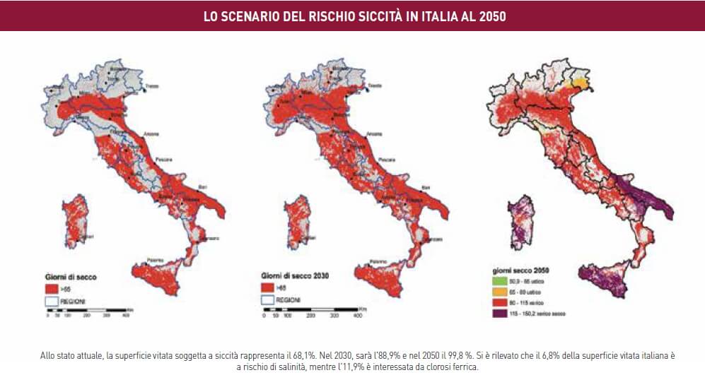 Portinnesti vite: lo scenario del rischio siccità in Italia al 2050