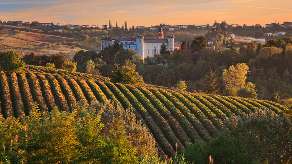 Il vino Grignolino: i terreni dove cresce