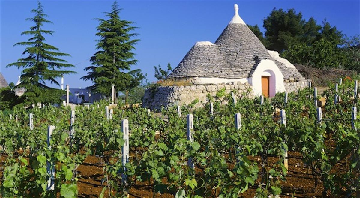 trulli Puglia e vitigno