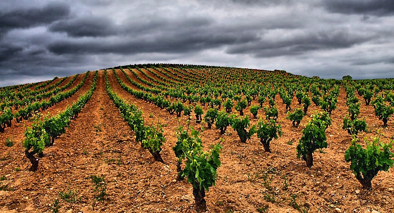 Terroir della Rioja in Spagna