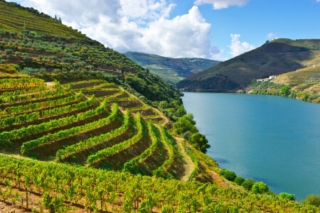 Produzione di vino nel 2016 in Portogallo
